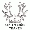 Koń Trakeński - Witam na stronie w całości poświęconej koniom rasy Trakeńskiej. Są to silne, szlachetne konie, aby dowiedziec się więcej  zapraszam do przejrzenia mojej strony.